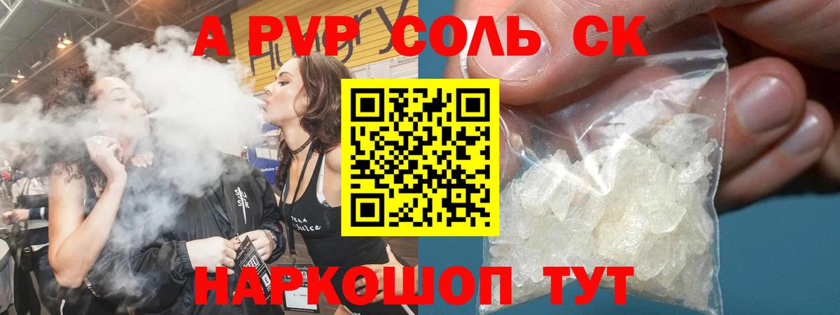 Alfa_PVP СК КРИС Майкоп